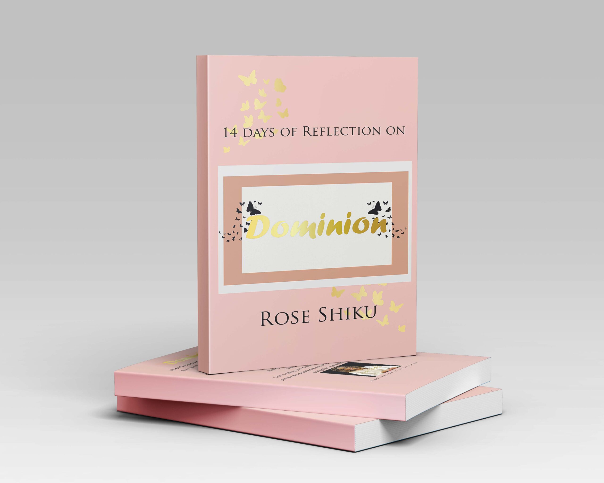 Reflections on Dominion Package (Devotional and Journal) - Image 3